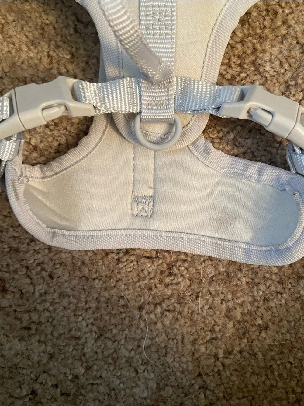 Adjustable White Padded Dog Harness with Secure Buckles
